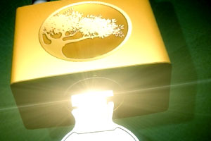 Watpac &ndash; Newstead Circle