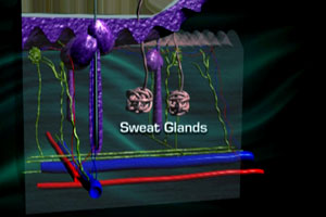 Royal Brisbane Women&rsquo;s Hospital &ndash; Burns